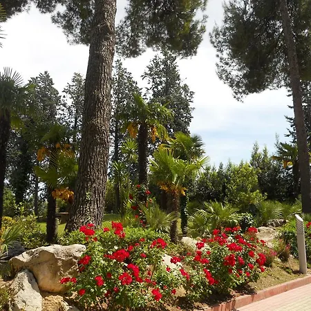 Отель Parc Immacolata 3*